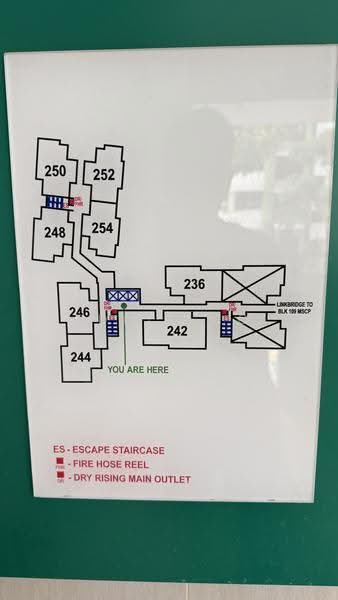 110B Bidadari Park Drive, 110B Bidadari Park Drive, Balestier / Toa Payoh, 3 Bedrooms, 1,001 sqft, HDB Flat For Sale, by Edric Ho, 500248554 - PropertyGuru.com.sg