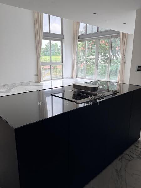White House Residence, 67 Stevens Road, Tanglin / Holland / Bukit Timah, 4 Bedrooms, 3,900 sqft, Condominium For Rent, by Nancy Ni, 500248718 - PropertyGuru.com.sg