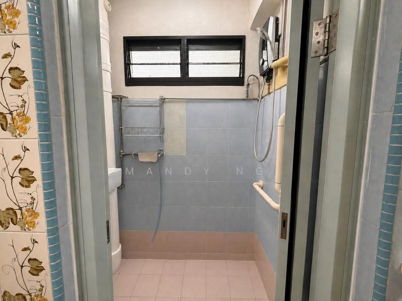 11 Holland Drive, 11 Holland Drive, Tanglin / Holland / Bukit Timah, 2 Bedrooms, 700 sqft, HDB Flat For Sale, by Mandy Ng, 500248749 - Bathroom - PropertyGuru.com.sg