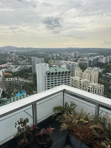 Le Nouvel Ardmore, 1A Ardmore Park, Tanglin / Holland / Bukit Timah, 4 Bedrooms, 3,961 sqft, Condominium For Rent, by Colin Li, 500248858 - PropertyGuru.com.sg
