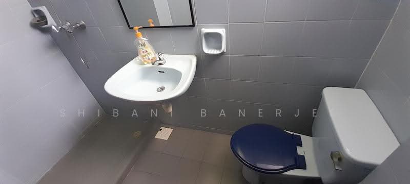Balmoral Gate, 33 Balmoral Road, Tanglin / Holland / Bukit Timah, Room Rental, 150 sqft, Condominium For Rent, by Shibani Banerjee, 500249128 - Bathroom - PropertyGuru.com.sg