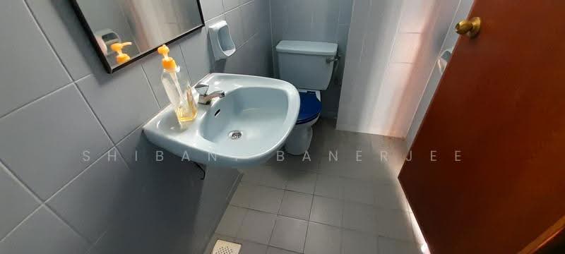 Balmoral Gate, 33 Balmoral Road, Tanglin / Holland / Bukit Timah, Room Rental, 150 sqft, Condominium For Rent, by Shibani Banerjee, 500249128 - Bathroom - PropertyGuru.com.sg
