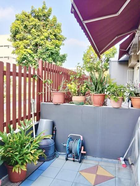 The Springfield, Chempaka Kuning Link, Bedok / Upper East Coast, 4 Bedrooms, 2,370 sqft, Terraced House For Sale, by Lesnar Hong, 500249171 - Yard - PropertyGuru.com.sg
