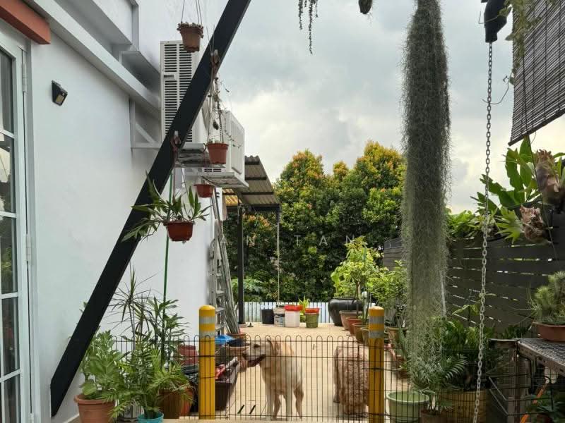 1 Km Nanyang Primary Amazing View Wide Frontage, Namly, Tanglin / Holland / Bukit Timah, 4 Bedrooms, 3,200 sqft, Semi-Detached House For Sale, by Dan Tan, 500249455 - Exterior - PropertyGuru.com.sg