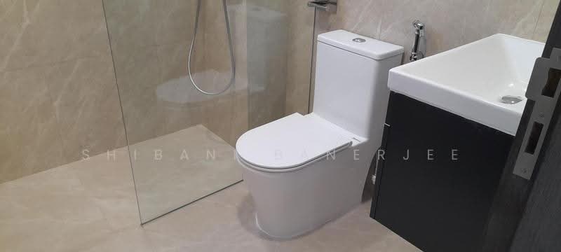 Cavenagh Gardens, 73 Cavenagh Road, Orchard / River Valley, Room Rental, 160 sqft, Apartment For Rent, by Shibani Banerjee, 500249611 - Bathroom - PropertyGuru.com.sg