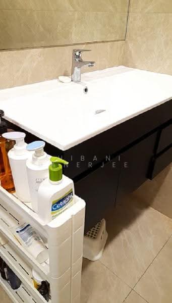 Cavenagh Gardens, 73 Cavenagh Road, Orchard / River Valley, Room Rental, 160 sqft, Apartment For Rent, by Shibani Banerjee, 500249611 - Bathroom - PropertyGuru.com.sg