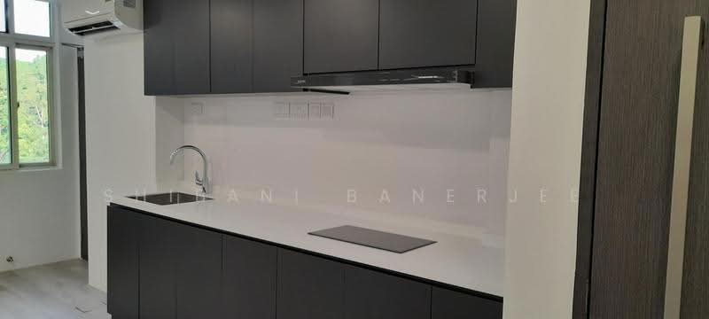 Cavenagh Gardens, 73 Cavenagh Road, Orchard / River Valley, Room Rental, 160 sqft, Apartment For Rent, by Shibani Banerjee, 500249611 - Kitchen - PropertyGuru.com.sg