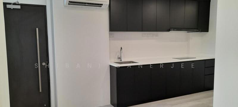 Cavenagh Gardens, 73 Cavenagh Road, Orchard / River Valley, Room Rental, 160 sqft, Apartment For Rent, by Shibani Banerjee, 500249611 - Kitchen - PropertyGuru.com.sg