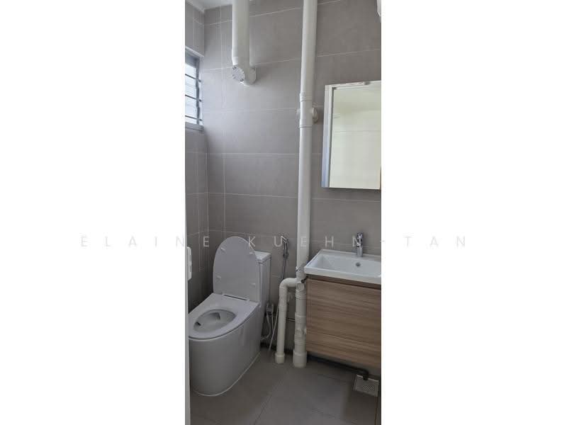 316 Clementi Avenue 4, 316 Clementi Avenue 4, Buona Vista / West Coast / Clementi New Town, Room Rental, 150 sqft, HDB Flat For Rent, by Elaine Kuehn-Tan, 500249757 - PropertyGuru.com.sg