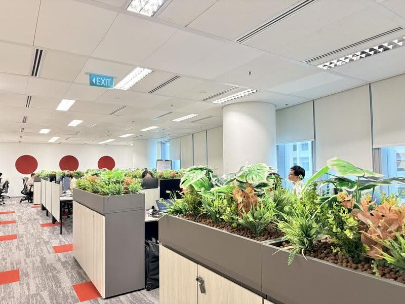 SGX Centre II, 4 SHENTON WAY, Boat Quay / Raffles Place / Marina, 5,636 sqft, Office For Rent, by Joanna Zhou, 500249959 - CommercialGuru.com.sg