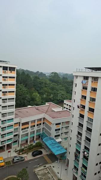 273 Bangkit Road, 273 Bangkit Road, Dairy Farm / Bukit Panjang / Choa Chu Kang, Room Rental, 180 sqft, HDB Flat For Rent, by Jean Chua, 500250311 - Exterior - PropertyGuru.com.sg