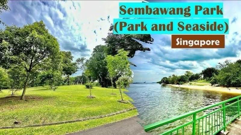 506A Wellington Circle, 506A Wellington Circle, Sembawang / Yishun, Room Rental, , HDB Flat For Rent, by Amelia Tan, 500250340 - PropertyGuru.com.sg