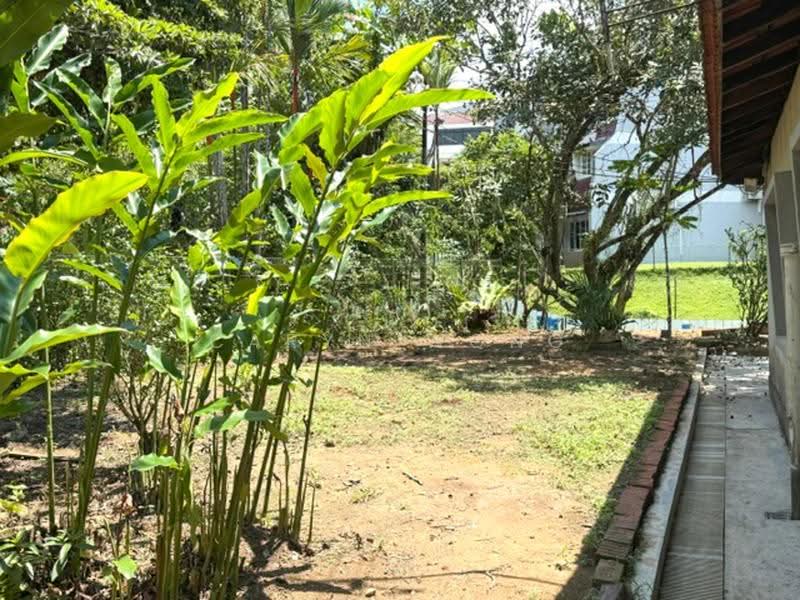 ★ GIANT ★ D20 Adelphi Park Estate Freehold Corner Terrace | Walk to Upper Thomson MRT, Gardenia Road, Upper Thomson Road, Bright Hill Crescent, Ang Mo Kio / Bishan / Thomson, 4 Bedrooms, 3,000 sqft, Corner Terrace For Sale, by Caryn Wong, 500250685 - Garden - PropertyGuru.com.sg
