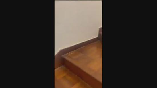 Joo Chiat terrace, Joo Chiat terrace, East Coast / Marine Parade, 4 Bedrooms, 2,300 sqft, Terraced House For Rent, by Teo Choo Meng, 500250694 - PropertyGuru.com.sg