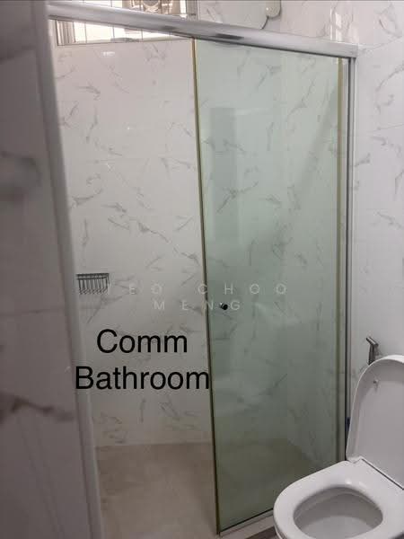 Joo Chiat terrace, Joo Chiat terrace, East Coast / Marine Parade, 4 Bedrooms, 2,300 sqft, Terraced House For Rent, by Teo Choo Meng, 500250694 - Bathroom - PropertyGuru.com.sg