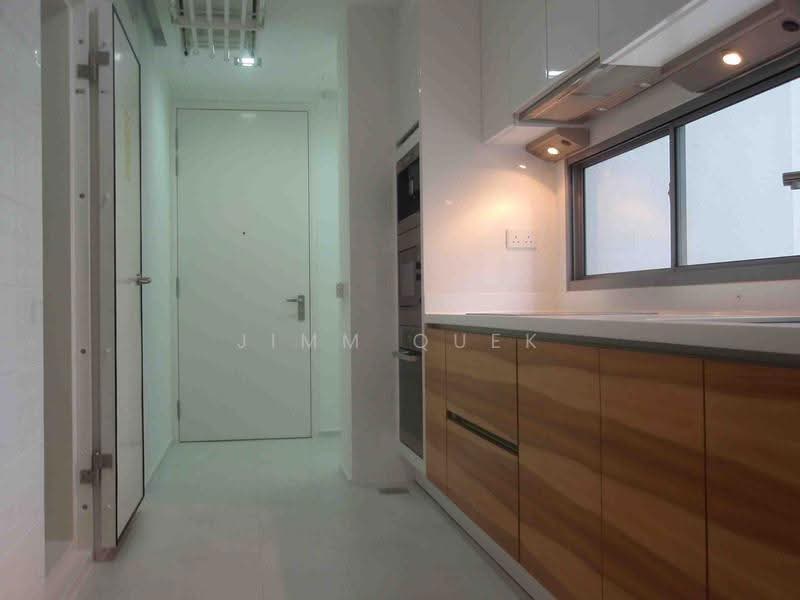 Helios Residences, 17 Cairnhill Circle, Orchard / River Valley, 2 Bedrooms, 1,230 sqft, Condominium For Rent, by Jimm Quek, 500251081 - Kitchen - PropertyGuru.com.sg