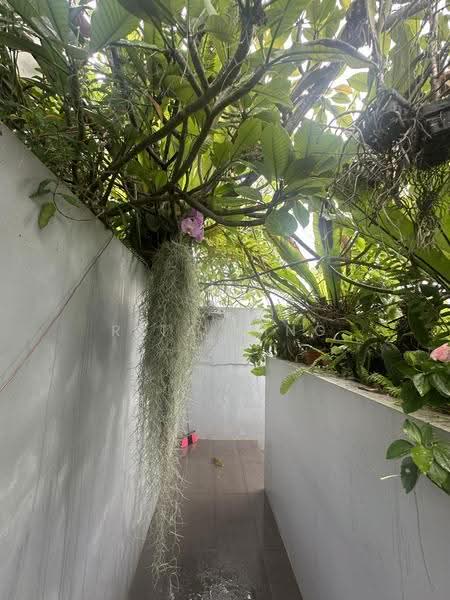 Opera Estate, Jalan Bangsawan, East Coast / Marine Parade, 5 Bedrooms, 3,300 sqft, Terraced House For Sale, by Rita King, 500251168 - Exterior - PropertyGuru.com.sg