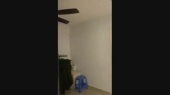 258 Tampines Street 21, 258 Tampines Street 21, Pasir Ris / Tampines, 2 Bedrooms, 882 sqft, HDB Flat For Sale, by William Yong, 500251169 - PropertyGuru.com.sg