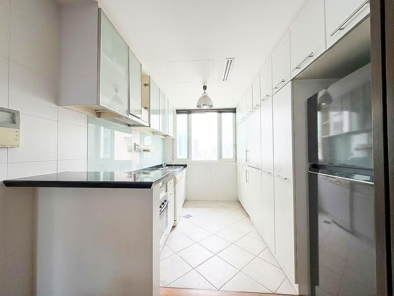 Robertson 100, 100 Robertson Quay, Orchard / River Valley, 2 Bedrooms, 872 sqft, Apartment For Sale, by Wen Junting, 500251463 - Kitchen - PropertyGuru.com.sg