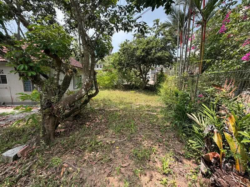 ★Eminence Landed★ Original Corner-Terrace near Thomson Plaza, Upper Thomson MRT, 1km Ai Tong School, Gardenia Road, Daffodil Drive, Marigold Drive, Jasmine Road, Soo Chow, Ang Mo Kio / Bishan / Thomson, 4 Bedrooms, 2,500 sqft, Corner Terrace For Sale, by Catherine Lee, 500251706 - Garden - PropertyGuru.com.sg
