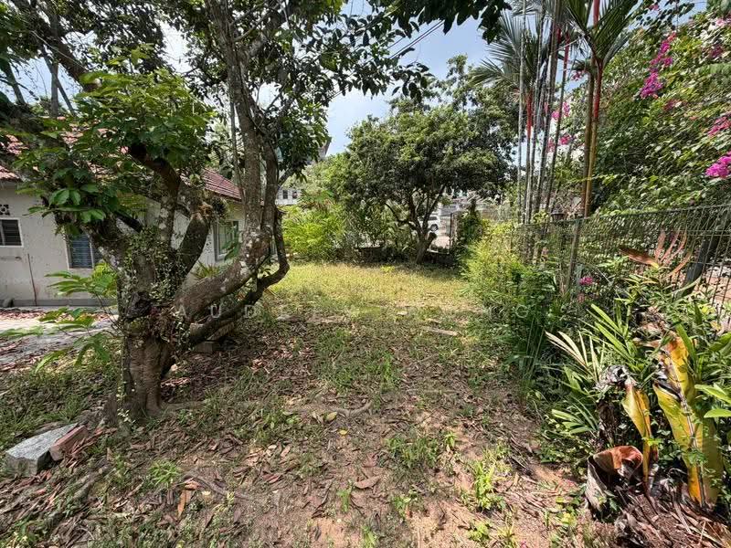 Original Corner-T @ Gardenia Road, Daffodil Drive, Marigold Drive, Jasmine Road, Soo Chow, Gardenia Road, Ang Mo Kio / Bishan / Thomson, 4 Bedrooms, 2,500 sqft, Corner Terrace For Sale, by Audrey Wong, 500251715 - Garden - PropertyGuru.com.sg