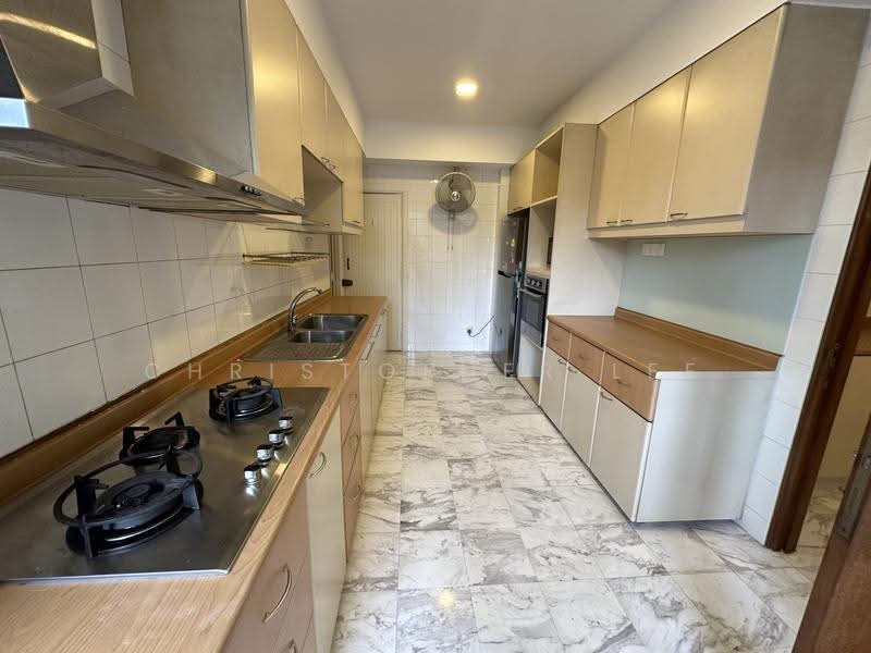 Botanic Gardens View, 1 Taman Serasi, Tanglin / Holland / Bukit Timah, 3 Bedrooms, 1,755 sqft, Apartment For Rent, by Christopher Lee, 500252185 - Kitchen - PropertyGuru.com.sg