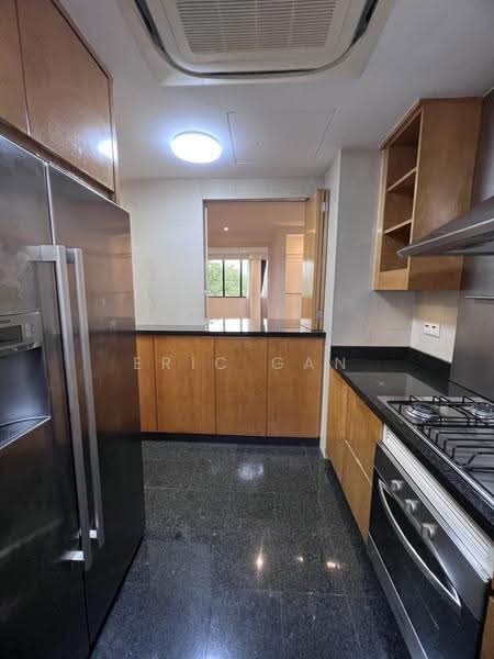 Grange 70, 70 Grange Road, Tanglin / Holland / Bukit Timah, 3 Bedrooms, 1,970 sqft, Condominium For Rent, by Eric Gan, 500252191 - Kitchen - PropertyGuru.com.sg