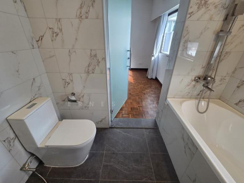 Grange Heights, 15 Saint Thomas Walk, Orchard / River Valley, 4 Bedrooms, 3,025 sqft, Apartment For Sale, by Ernest Tay, 500252335 - Bathroom - PropertyGuru.com.sg