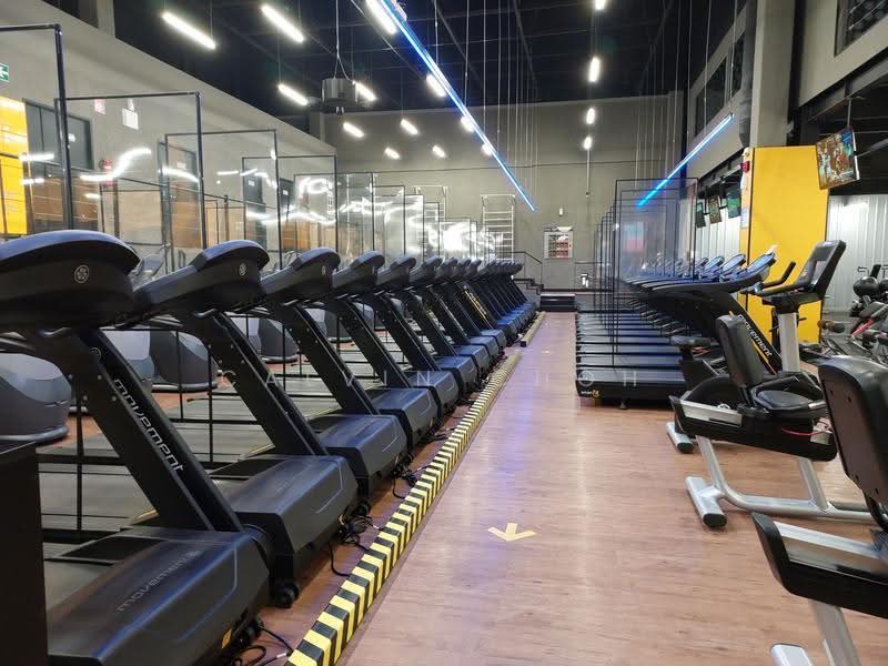 D12, Retail, Service Trades, Clinic, Vet, Gym, Beauty, Education Centre, Serangoon Road, Bendemeer Road, Upper Serangoon Road, Balestier / Toa Payoh, 580 sqft, Shop / Shophouse For Rent, by Calvin Choh, 500252459 - Gym - CommercialGuru.com.sg