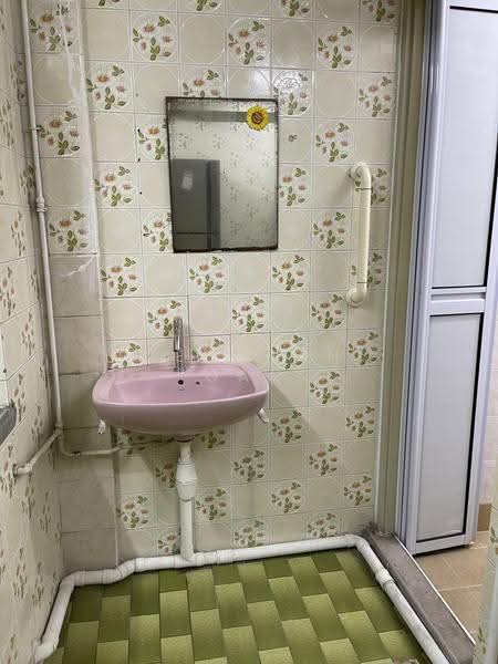 6 Jalan Batu, 6 Jalan Batu, East Coast / Marine Parade, 2 Bedrooms, 646 sqft, HDB Flat For Rent, by Deborah Gan, 500252525 - Basin & mirror outside bathroom - PropertyGuru.com.sg