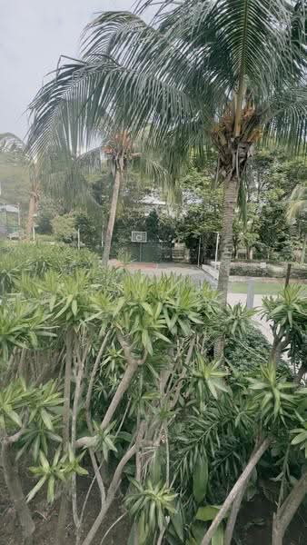 Caribbean at Keppel Bay, 46 Keppel Bay Drive, Harbourfront / Telok Blangah, 2 Bedrooms, 1,259 sqft, Condominium For Rent, by AMIRUL ANWAR BIN MOHD NOOR (AMIR MICHAEL), 500252556 - Exterior - PropertyGuru.com.sg