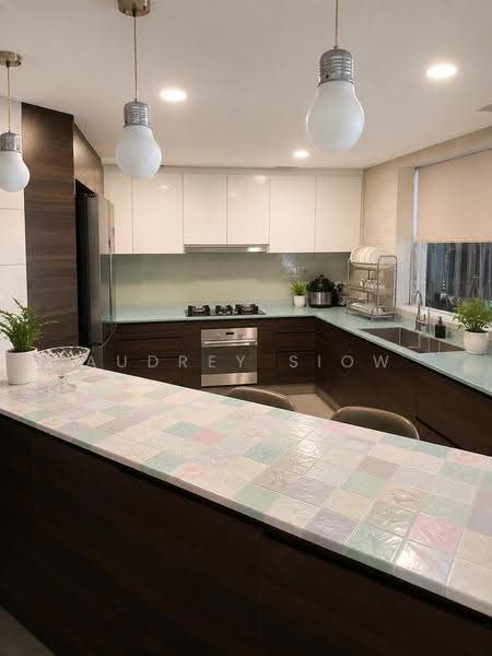 Parkshore, 201 Tanjong Rhu Road, East Coast / Marine Parade, 3 Bedrooms, 1,636 sqft, Condominium For Rent, by Audrey Siow, 500252566 - Kitchen - PropertyGuru.com.sg