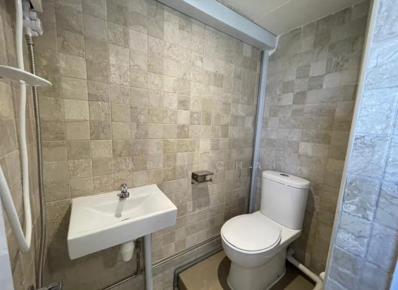 Chancery Court, 36A Dunearn Road, Newton / Novena, 3 Bedrooms, 2,034 sqft, Condominium For Rent, by Carol Chai, 500252643 - Bathroom - PropertyGuru.com.sg