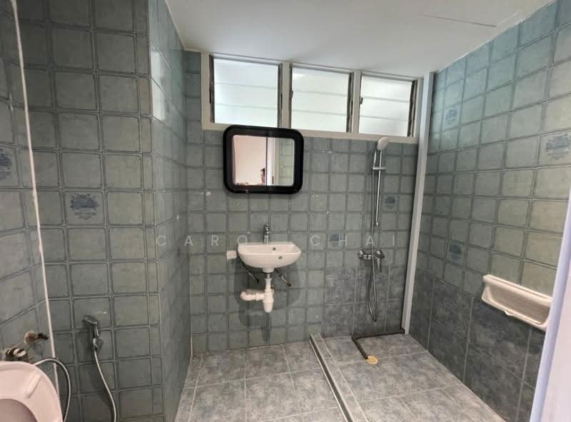 Chancery Court, 36A Dunearn Road, Newton / Novena, 3 Bedrooms, 2,034 sqft, Condominium For Rent, by Carol Chai, 500252643 - Bathroom - PropertyGuru.com.sg
