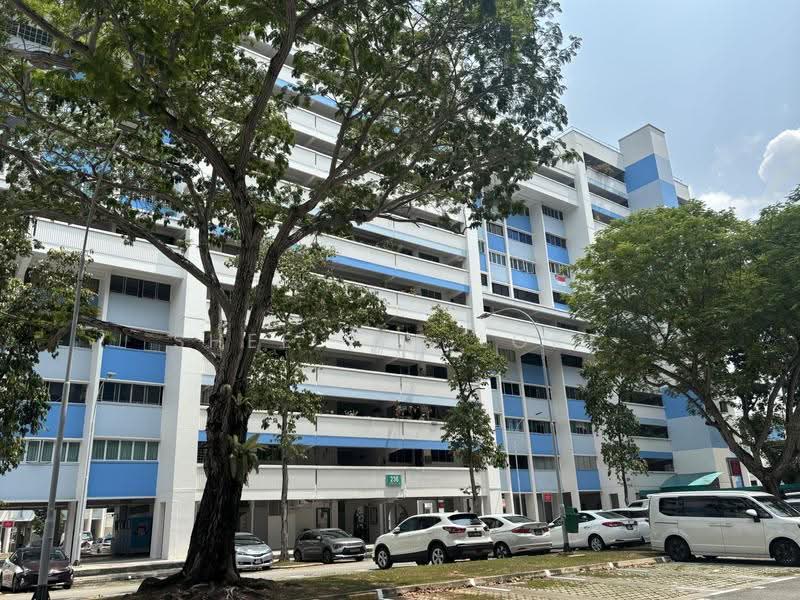 236 Tampines Street 21, 236 Tampines Street 21, Pasir Ris / Tampines, Room Rental, 120 sqft, HDB Flat For Rent, by Shee Yee Loke, 500252713 - Exterior - PropertyGuru.com.sg
