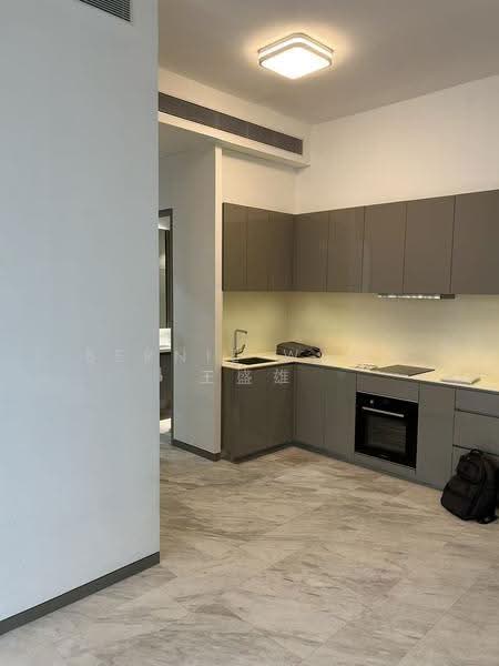 Robin Residences, 1 Robin Drive, Tanglin / Holland / Bukit Timah, 2 Bedrooms, 829 sqft, Condominium For Sale, by Bernie Wang 王盛雄, 500252742 - Kitchen - PropertyGuru.com.sg