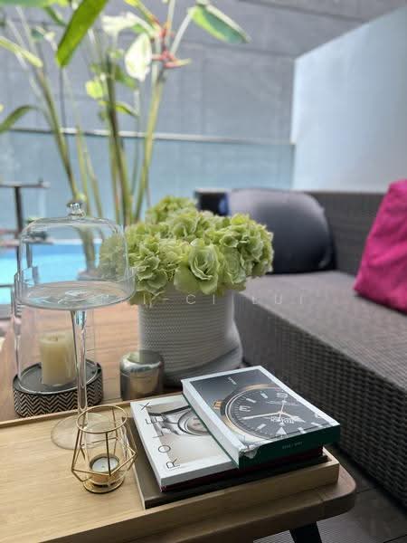 Grandview Suites @ Geylang, 1 Geylang Lorong 22, Eunos / Geylang / Paya Lebar, Studio, 463 sqft, Condominium For Rent, by Mei-Ci Lui, 500252992 - Balcony - PropertyGuru.com.sg
