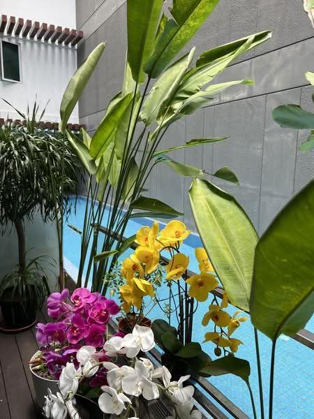 Grandview Suites @ Geylang, 1 Geylang Lorong 22, Eunos / Geylang / Paya Lebar, Studio, 463 sqft, Condominium For Rent, by Mei-Ci Lui, 500252992 - Exterior - PropertyGuru.com.sg