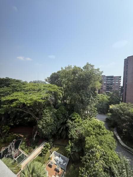 Botanic Gardens View, 1 Taman Serasi, Tanglin / Holland / Bukit Timah, 3 Bedrooms, 1,410 sqft, Apartment For Rent, by Benson Lau, 500252999 - View from master bedroom - PropertyGuru.com.sg