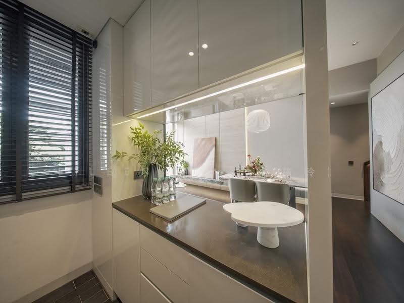 Lloyd SixtyFive, 65 Lloyd Road, Orchard / River Valley, 2 Bedrooms, 2,422 sqft, Condominium For Sale, by Eileen Lim (林依玲), 500253133 - Kitchen - PropertyGuru.com.sg
