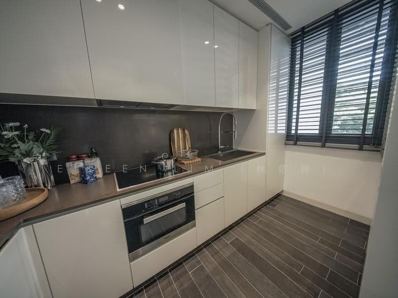 Lloyd SixtyFive, 65 Lloyd Road, Orchard / River Valley, 2 Bedrooms, 2,422 sqft, Condominium For Sale, by Eileen Lim (林依玲), 500253133 - Kitchen - PropertyGuru.com.sg