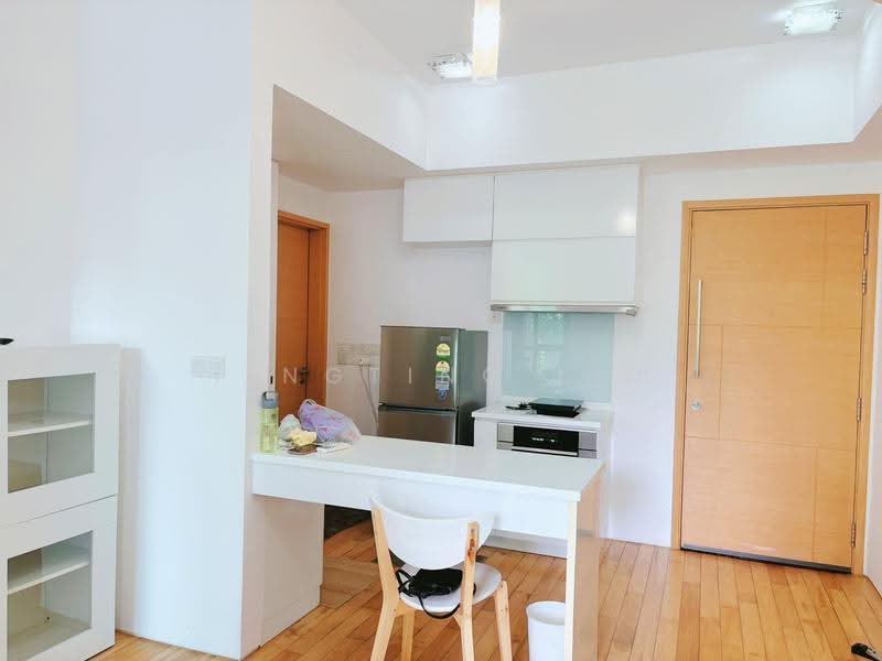 Illuminaire on Devonshire, 65 Devonshire Road, Orchard / River Valley, Studio, 441 sqft, Apartment For Rent, by Tingting Liu, 500253191 - Kitchen - PropertyGuru.com.sg
