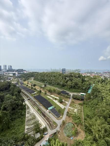 Normanton Park, 51 Normanton Park, Buona Vista / West Coast / Clementi New Town, 3 Bedrooms, 1,098 sqft, Condominium For Sale, by Raymond Goh, 500253303 - Exterior - PropertyGuru.com.sg