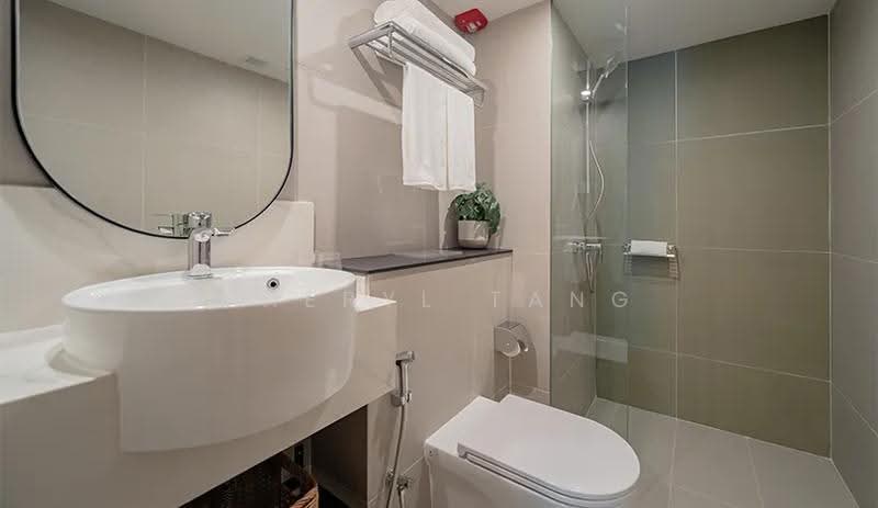 Studio Room Apartment in Central Singapore, River Valley Road, Orchard / River Valley, Studio, 151 sqft, Apartment For Rent, by Cheryl Tang, 500253350 - Bathroom - PropertyGuru.com.sg