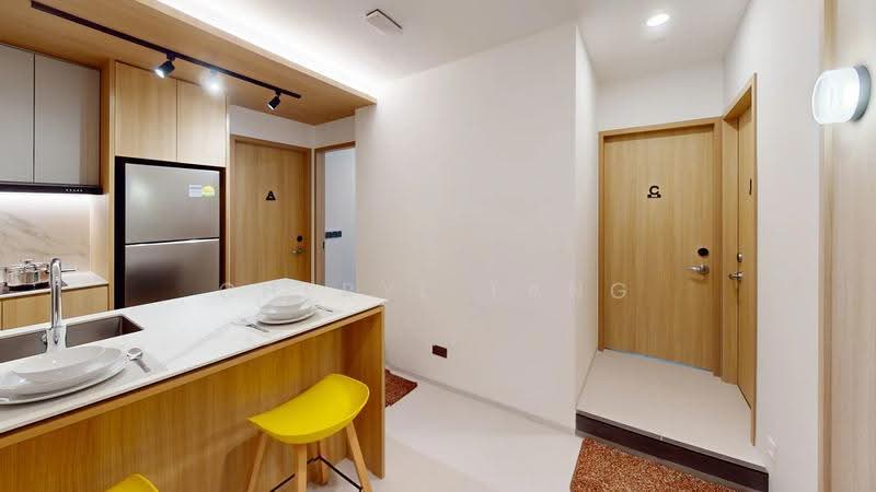 Studio Room Apartment in Central Singapore, River Valley Road, Orchard / River Valley, Studio, 151 sqft, Apartment For Rent, by Cheryl Tang, 500253350 - Shared Kitchen - PropertyGuru.com.sg