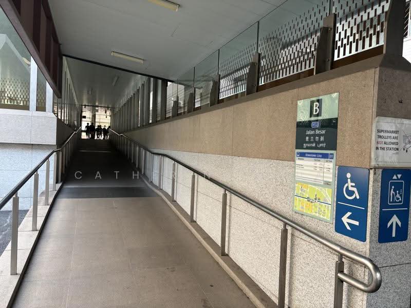 633 veerasamy road, 633 Veerasamy street, Farrer Park / Serangoon Rd, 678 sqft, Shop / Shophouse For Sale, by Catherine Chua, 500253369 - CommercialGuru.com.sg