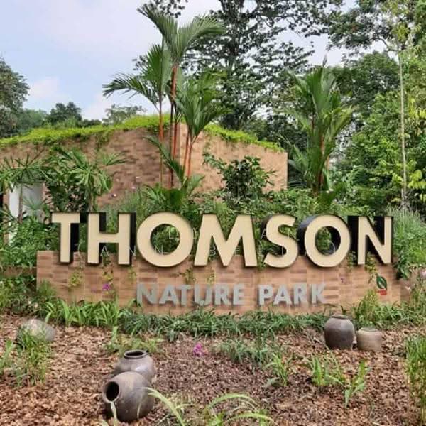 LANDED7772@ FH Brand New Terrace in Thomson Hills 1km St Nick Jalan Leban, Sembawang Hills Dr | Jalan Leban | Jalan Gelenggang | Jalan Kuras Ang Mo Kio / Bishan / Thomson, Ang Mo Kio / Bishan / Thomson, 5 Bedrooms, 5,132 sqft, Terraced House For Sale, by Bell Tan (Annabella), 500253429 - Exterior - PropertyGuru.com.sg