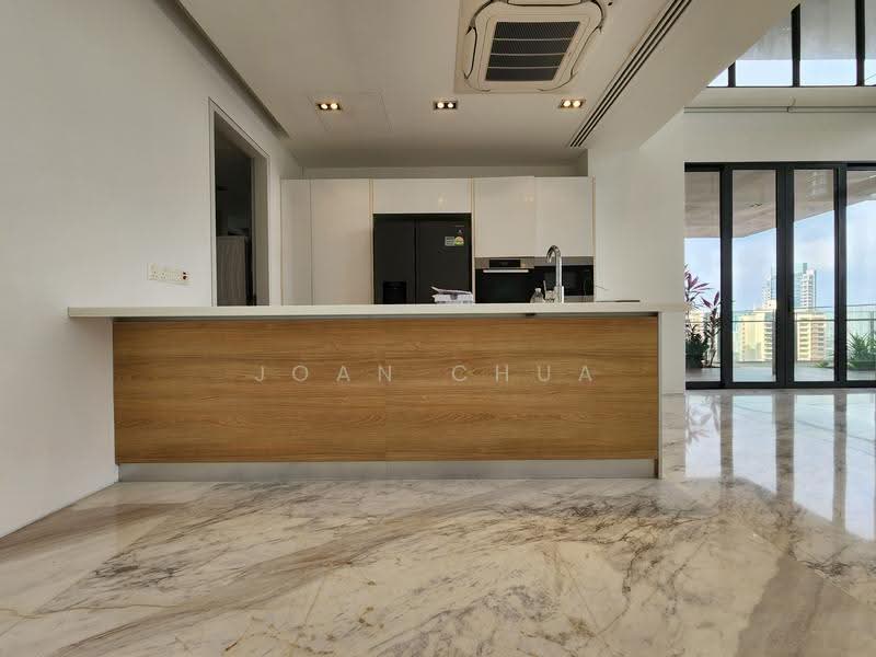 Skypark @ Somerset, 22 Saint Thomas Walk, Orchard / River Valley, 4 Bedrooms, 3,347 sqft, Apartment For Rent, by Joan Chua, 500253606 - Kitchen - PropertyGuru.com.sg