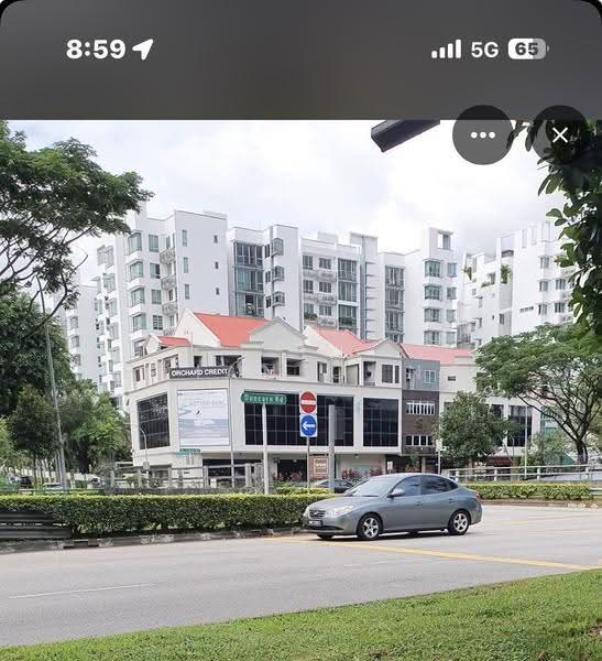 Bukit Timah Road, Tanglin / Holland / Bukit Timah, 1,550 sqft, Shop / Shophouse For Rent, by Brian Chng, 500253867 - Exterior - CommercialGuru.com.sg