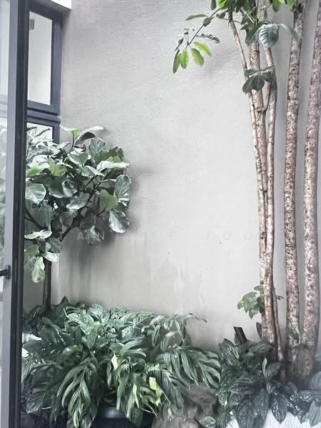 Hillcrest Road, Hillcrest Road, Newton / Novena, 5 Bedrooms, 6,700 sqft, Semi-Detached House For Sale, by Tan Yee Joo, 500254237 - Garden - PropertyGuru.com.sg